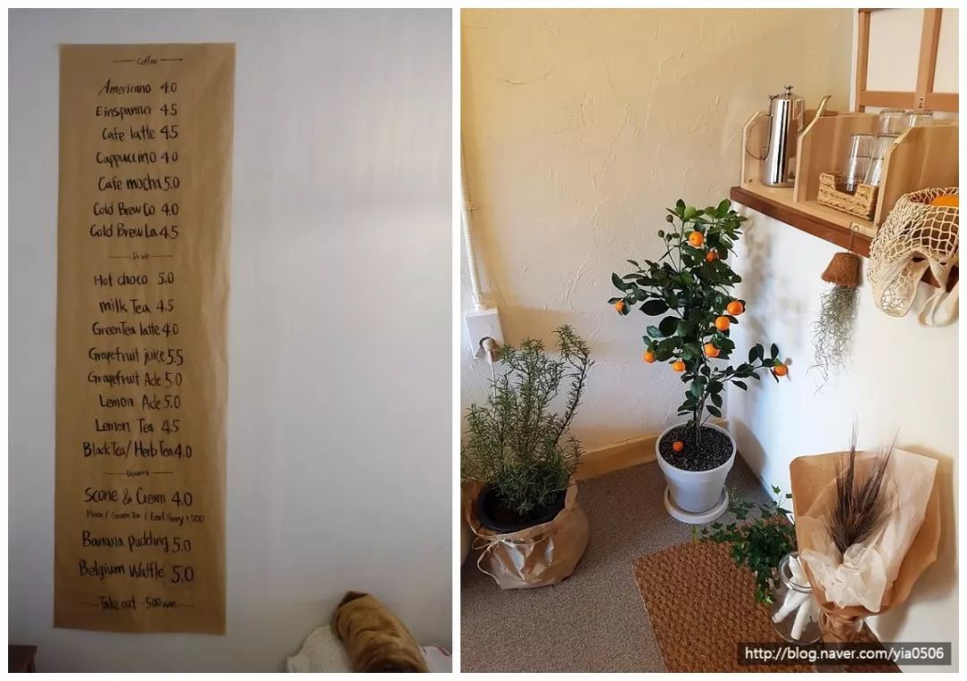 就连文艺女青年也找不到的史诗级咖啡店，因为它们真的藏在角落里