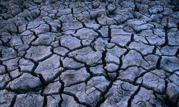 珍爱生命从保护自然环境做起