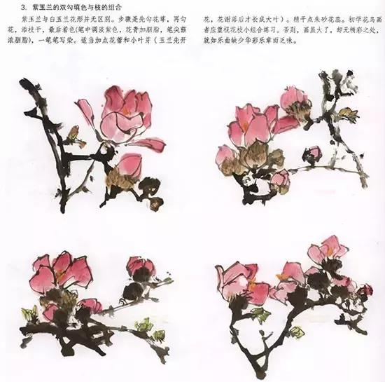 国画小写意玉兰花作品,国画玉兰花谁画的最好