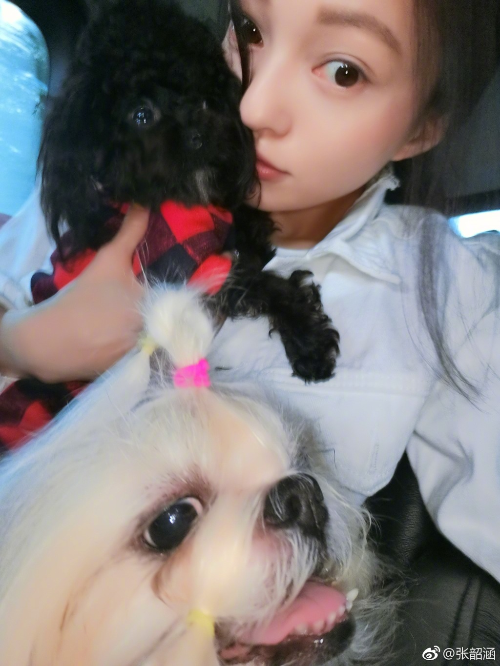 范玮琪再发声力挺陈建州台湾评价,范玮琪陈建州周杰伦张韶涵