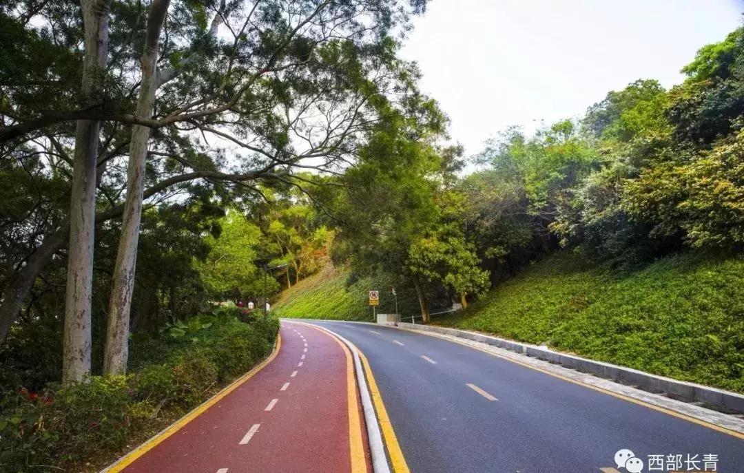 景山道全线贯通,景山道全线贯通了没