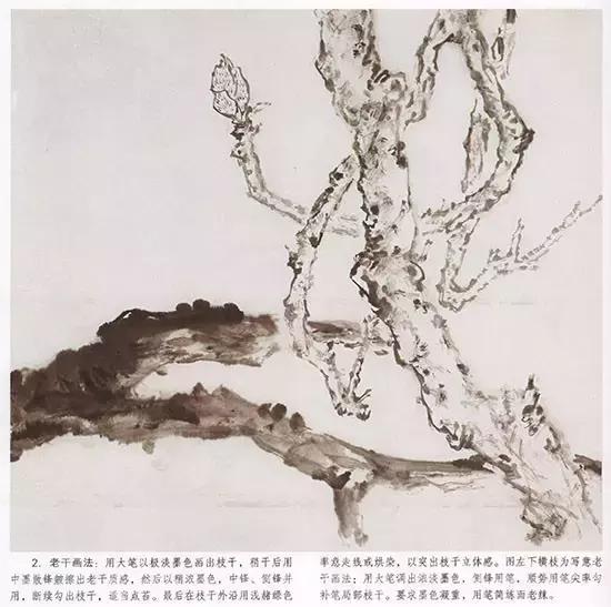 国画小写意玉兰花作品,国画玉兰花谁画的最好