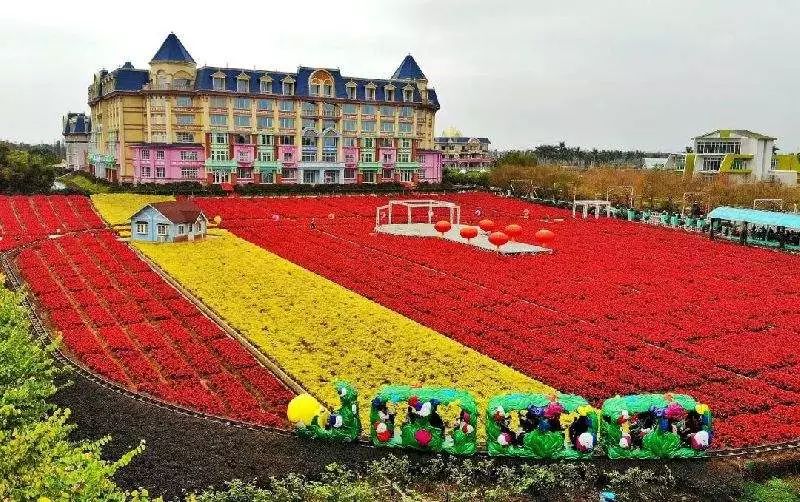 广州塔三八妇女节优惠,广州长隆欢乐世界三八妇女节