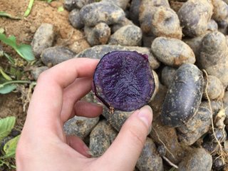 鎯宠嚧瀵屽緱鏆村瘜,鎯宠嚧瀵屼拱鍟嗛摵