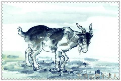 生肖羊有什么特别吗,生肖羊排几名