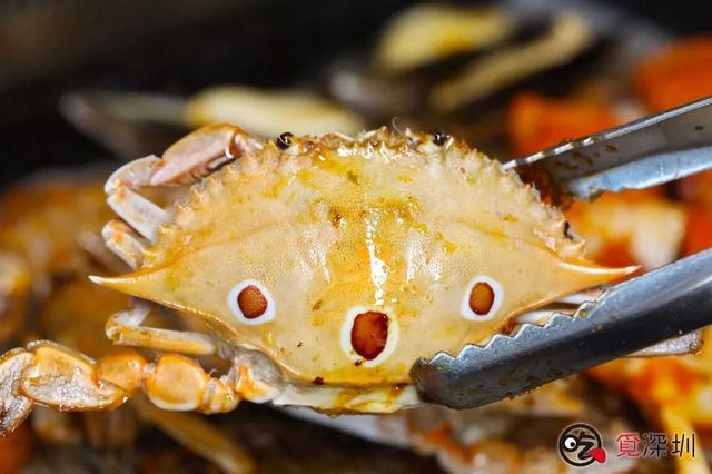 深圳80元一位自助餐40公里内,深圳市79元自助餐