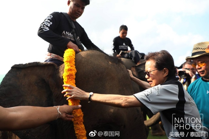 第4届泰国足球公开赛,泰国国王杯佛牌比赛