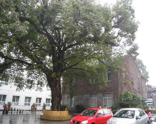 跨出闺阁，读书去：温州女学风云变幻