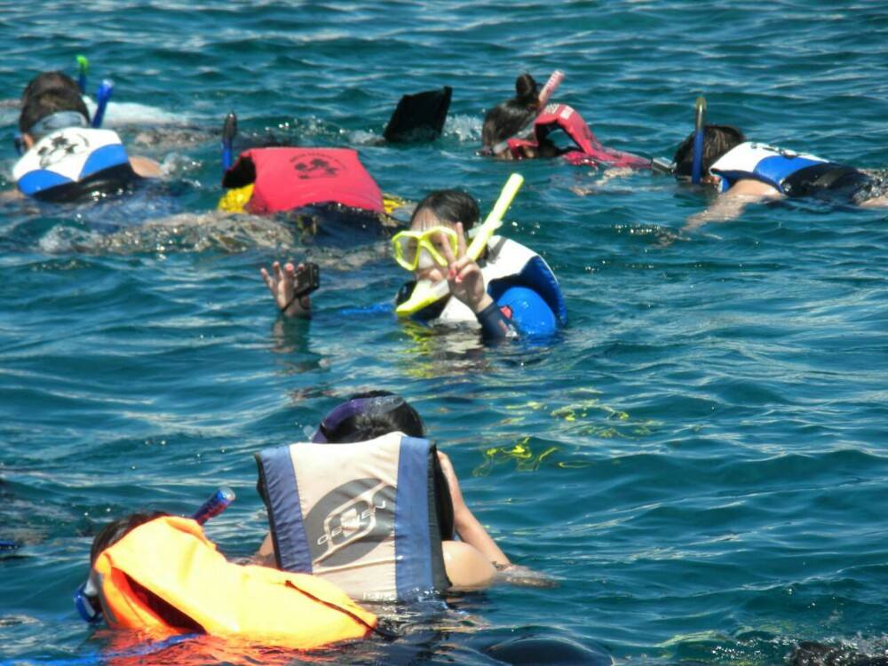 潜水小白攻略,浮潜新手