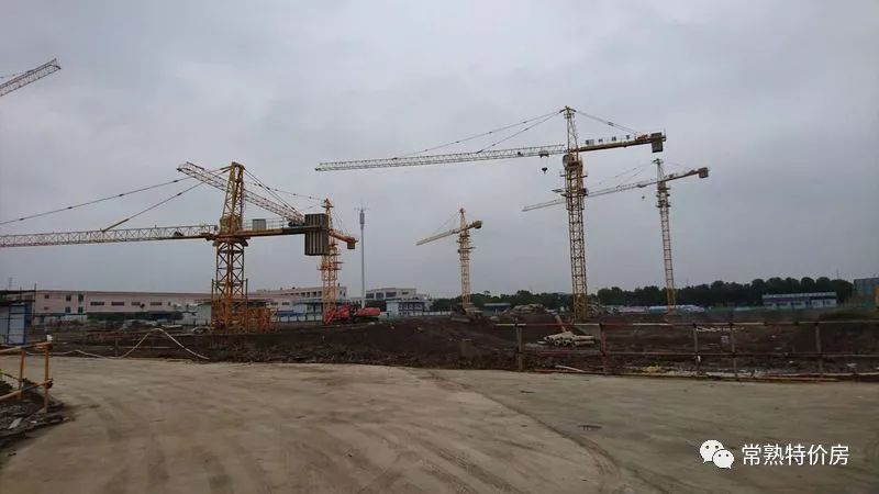 深度好文全文阅读,深度好文最新