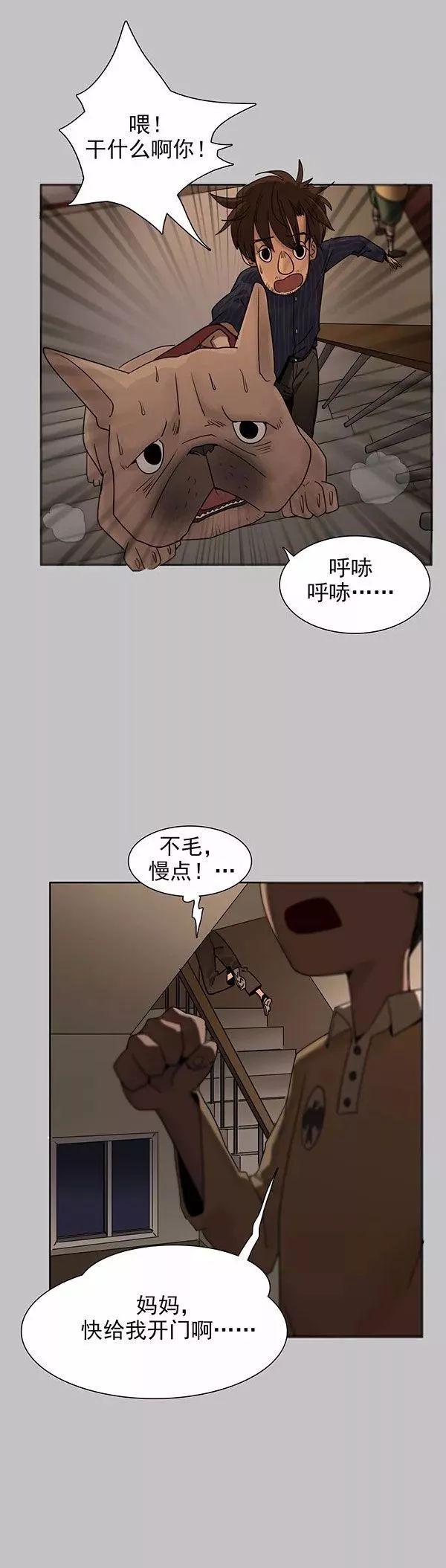 猫和铲屎官的日常生活漫画,铲屎官的搞笑漫画