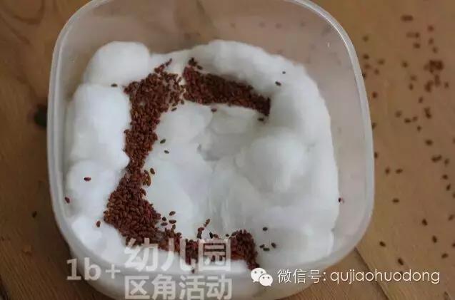 幼儿园春天植物角摆台,幼儿园植物角创意布置图片大全集