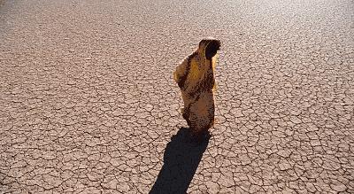 全球还有1亿少女被实施残忍酷刑，看得我想哭
