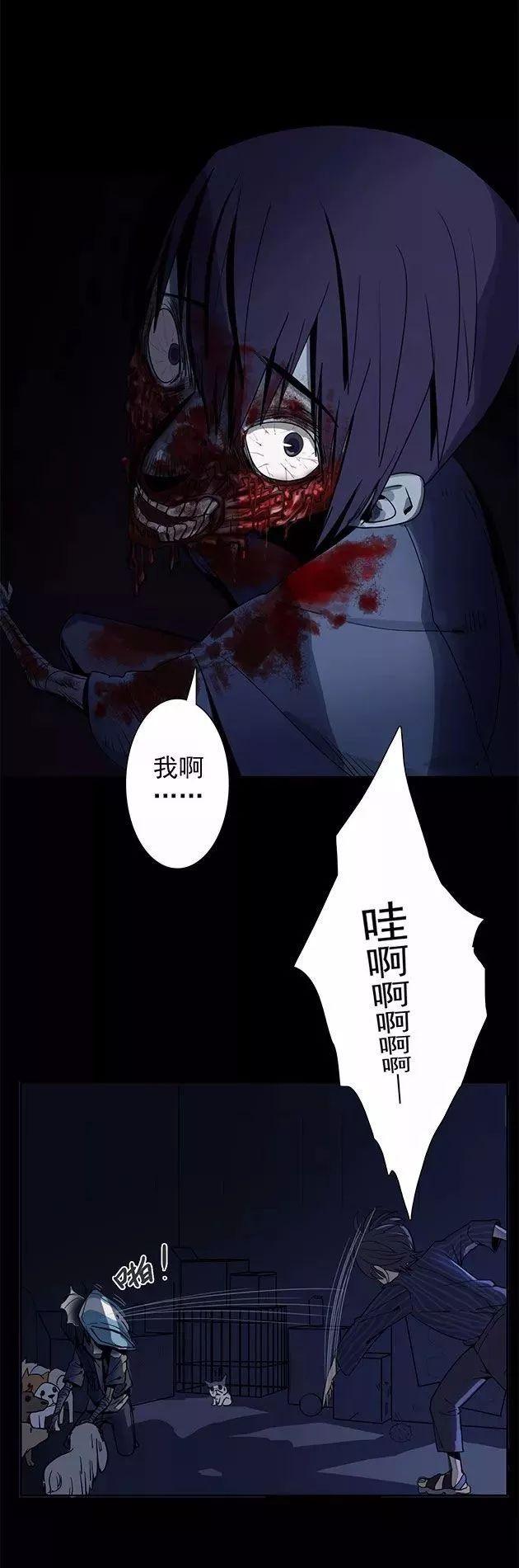 猫和铲屎官的日常生活漫画,铲屎官的搞笑漫画