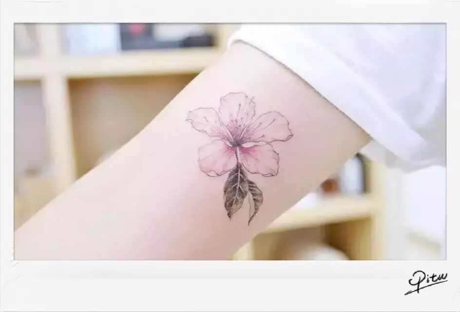 我不知道该说什么，但你可以闻到我的香水味