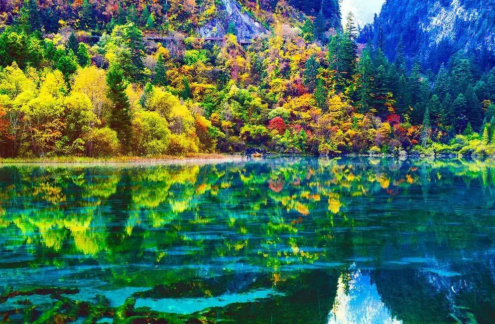 九寨沟震后形成新景观,人间仙境九寨沟震后依然山清水秀