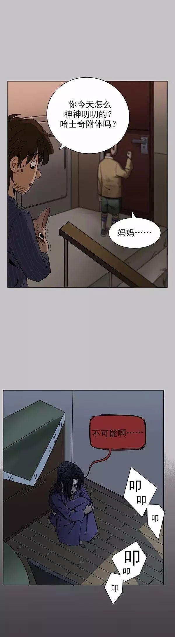 猫和铲屎官的日常生活漫画,铲屎官的搞笑漫画