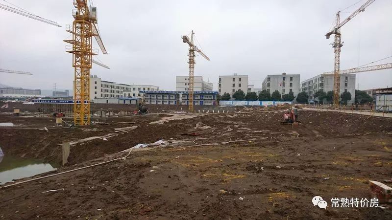 深度好文全文阅读,深度好文最新