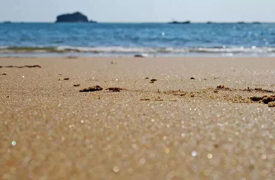 这个有用！外地朋友来大连就用这条微信带他们玩挺全的！