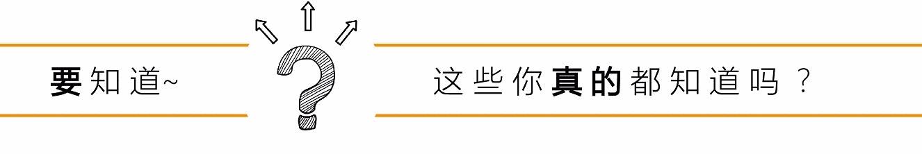 2000年代什么车最便宜,2000年至2010年的经典车有哪些