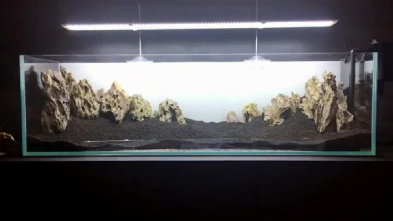 鱼缸微景观的方法和技巧,桌面鱼缸造景新手教程