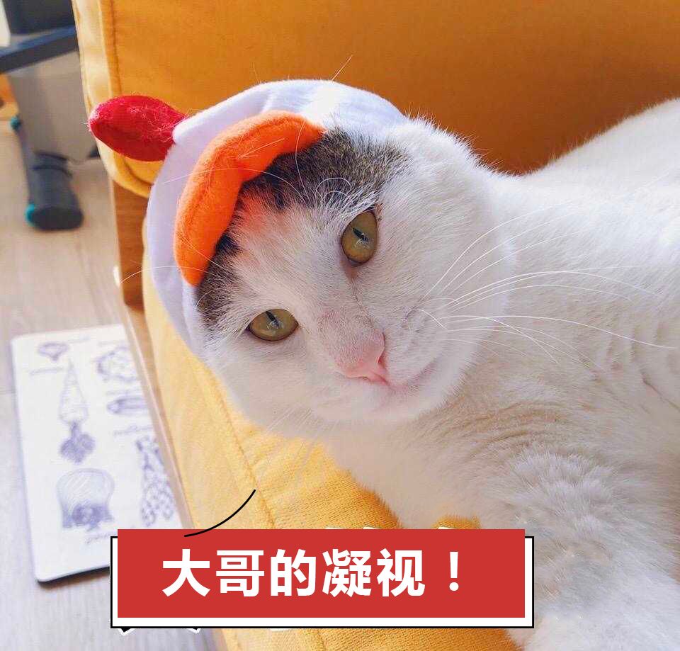 字典里奇怪的字,字典符号大全