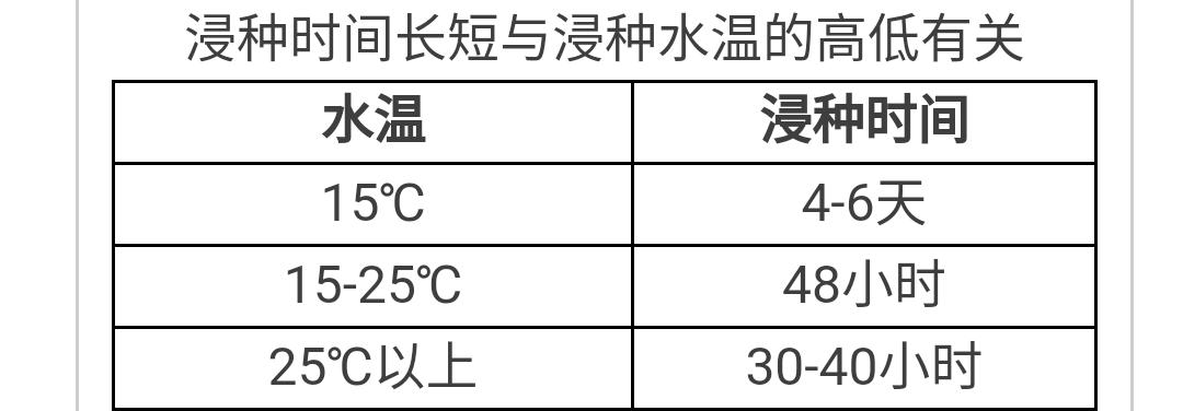 老司机快上车方法,老司机是如何收割水稻的