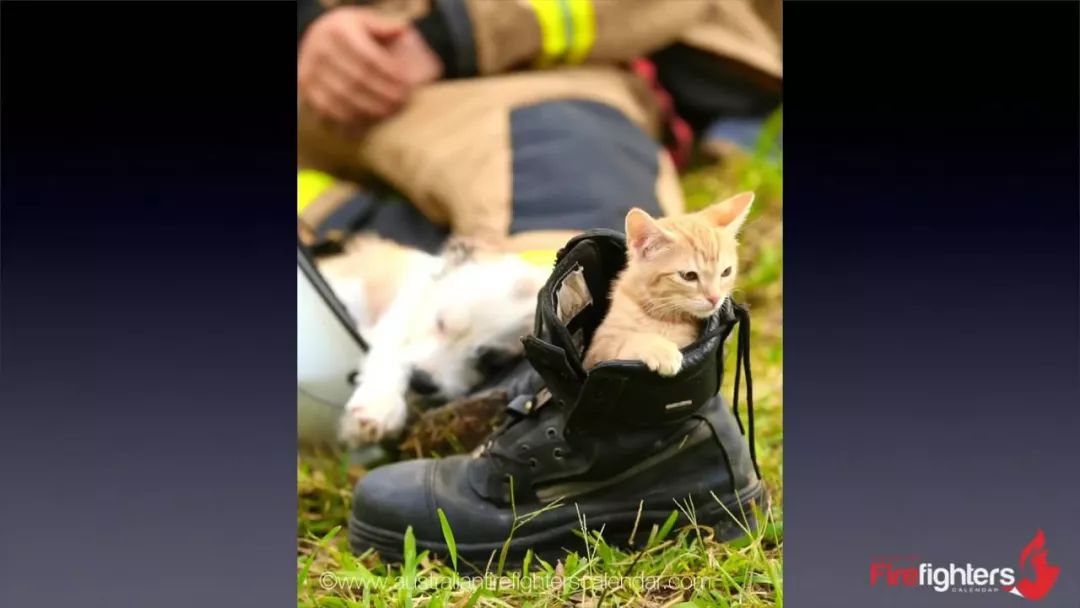 肌肉男和消防员对比视频,中国的消防员肌肉男帅哥视频