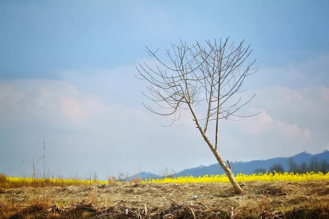 如何在腾冲去各个景点,到了云南腾冲有什么好玩儿的