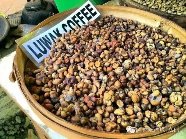 不去扎堆请到深山走走,巴厘岛正确的打开方式