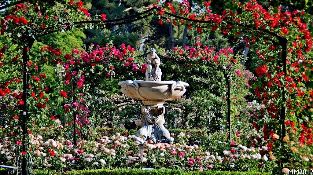 马德里教程完整版,马德里开uber