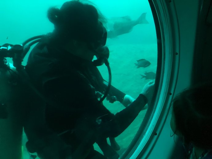 济州岛亲子游酒店,济州岛亲子游多少钱