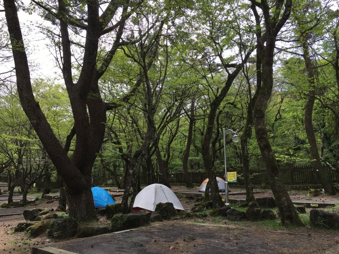 济州岛亲子游酒店,济州岛亲子游多少钱