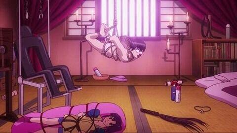 日本网友称「银魂」已成腐向作品你怎么看？