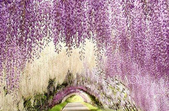 全球公认最美的十个地方图文,全球公认的十个最美的地方