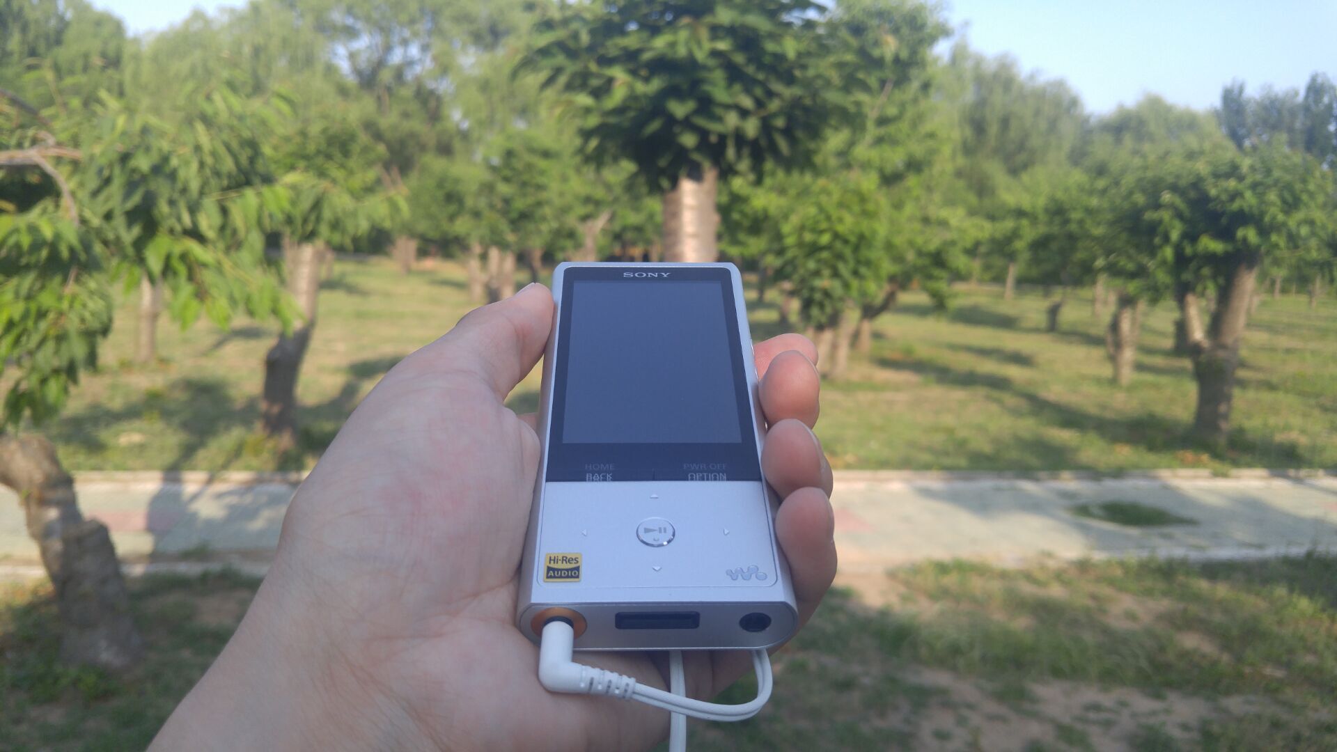 3000买个索尼a6000值不值,花1300买个耳机值得吗