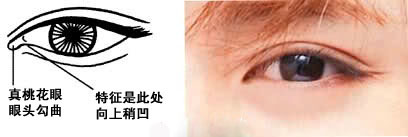 极美的几种桃花眼,最好看的桃花眼