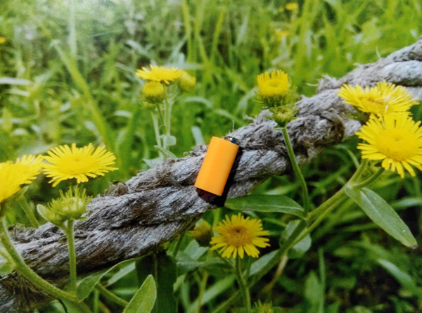 小米绝版手机,小米手机绝版功能