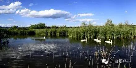丰台有没有大的水世界,在丰台居然藏着这么个宝藏地方