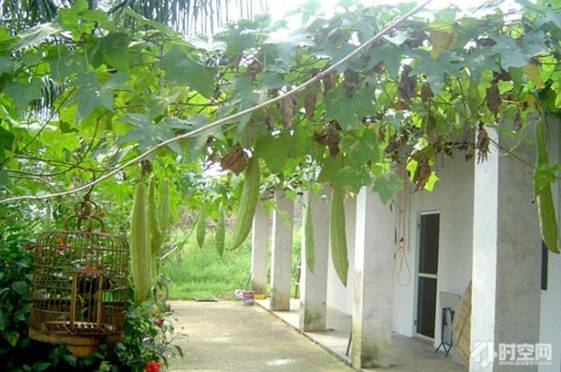 南宁十大最美农家乐推荐,南宁农家乐排行榜适合小朋友