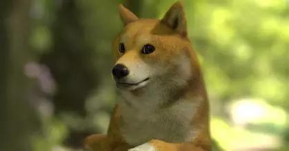 护肤品误区一览表,其实护肤品真的有效果吗