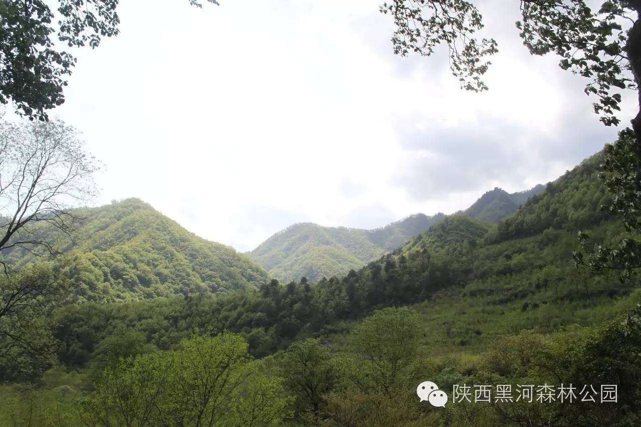 西安周边周至老县城,陕西香格里拉