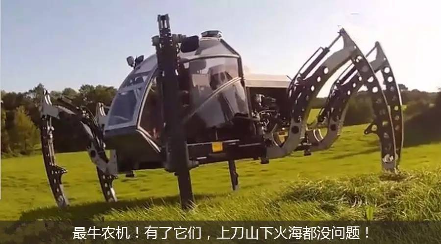 儿时的六一儿童节图片,六一儿童节童年照片