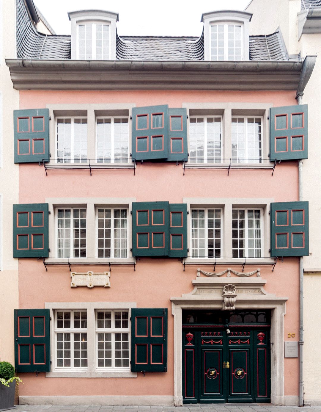 从寒冬到春天之路,从冬到春的旅程