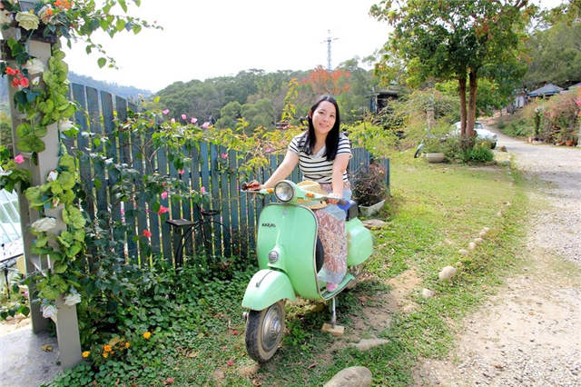 苗栗新景点：魔戒夏尔哈比人屋，走进格林奇幻森林，好拍到相机没电～（上）