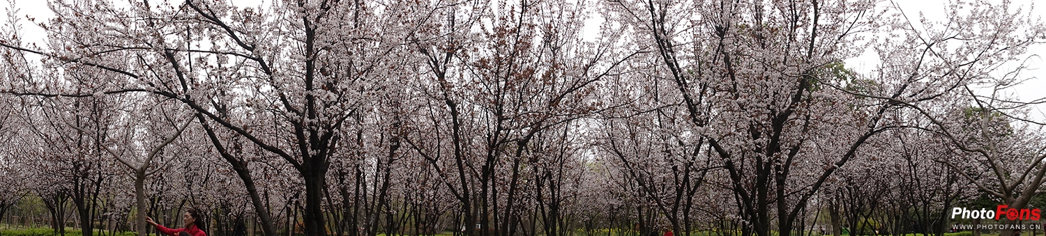 好雨知时节当春乃发生视频素材,索尼rx10iv视频性能