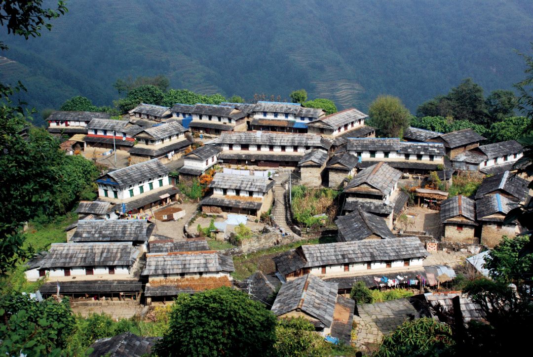 从寒冬到春天之路,从冬到春的旅程