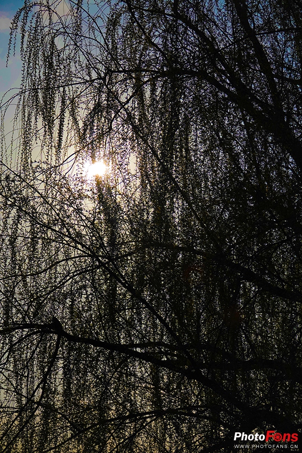 好雨知时节当春乃发生视频素材,索尼rx10iv视频性能