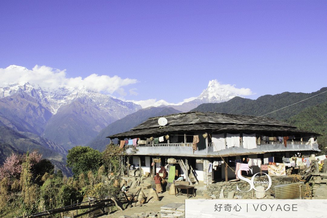 从寒冬到春天之路,从冬到春的旅程