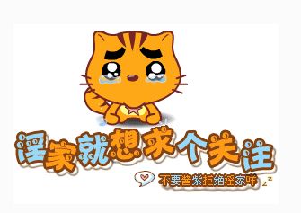 手机如何查看电脑wifi密码,手机wifi密码怎么查看苹果